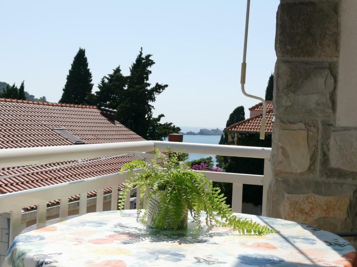 Apartment Sandra Free Private Parking Dubrovník Exteriér fotografie